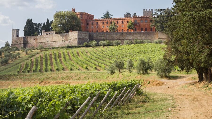 From Siena: Chianti Wine Tour with Lunch - Key details at a glance