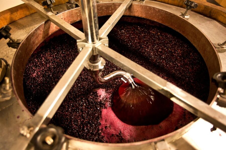 From Siena: Chianti Wine Tour with Lunch - Who should book this experience