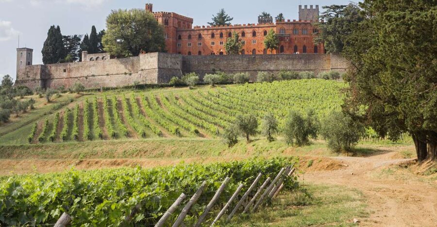 From Siena: Chianti Wine Tour with Lunch - Why this Chianti day trip works