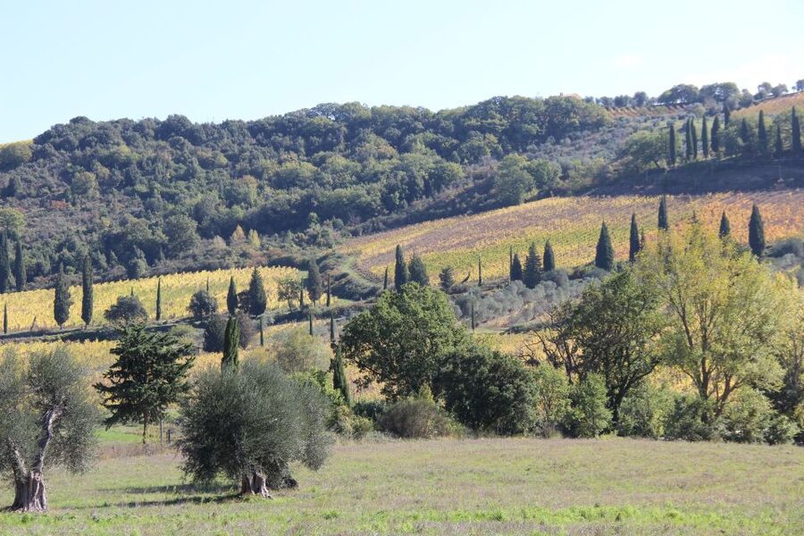 From Siena: Chianti Wine Tour with Lunch - Hilltop towns, castles, and cobblestone streets