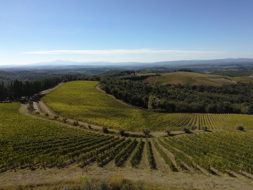 From Siena: Chianti Wine Tour with Lunch - Meeting your guide in Siena