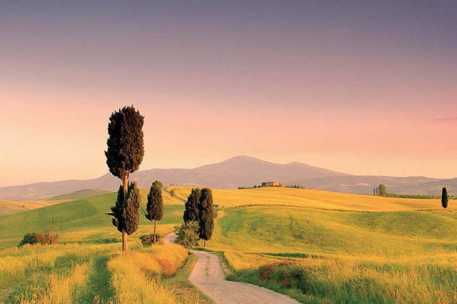 From Siena: Tuscany Hills Wine Tour - Montepulciano: Renaissance streets and Nobile wine