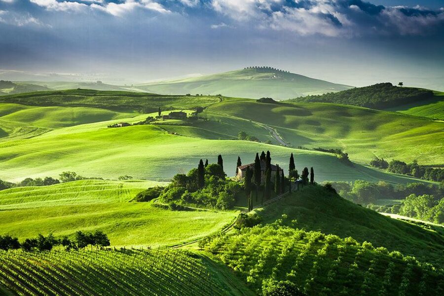 From Siena: Tuscany Hills Wine Tour - The second winery and the ride back to Siena