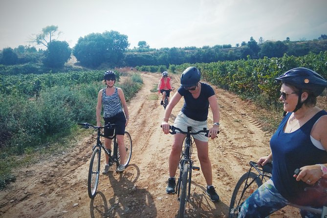From Sitges: Bike Tour and Winery Visit with Free Hotel Pick Up. - Caves Romagosa Torne and the ninth generation of winemaking