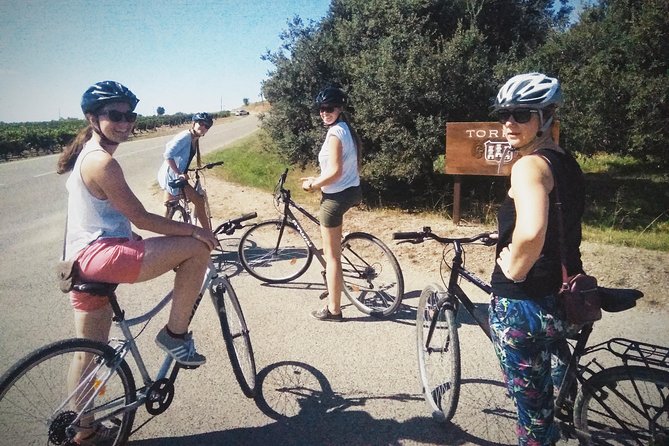 From Sitges: Bike Tour and Winery Visit with Free Hotel Pick Up. - Who will enjoy this half-day outing