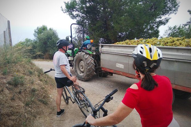From Sitges: Bike Tour and Winery Visit with Free Hotel Pick Up. - Practical planning for a smoother morning