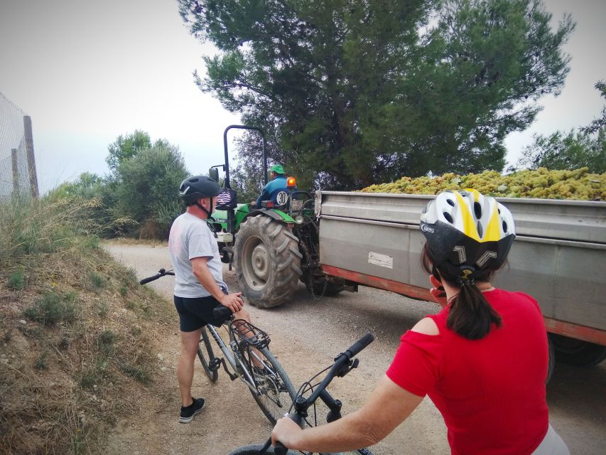 From Sitges: Cycling Tour with Winery visit and Tasting - Should you book this Sitges cycling tour?