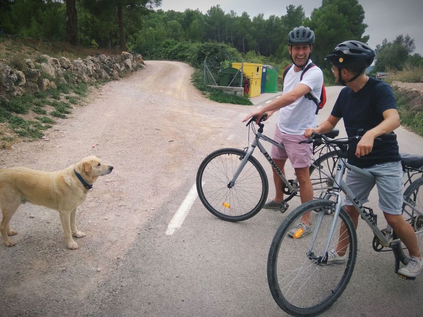 From Sitges: Cycling Tour with Winery visit and Tasting - Timing, comfort, and useful planning tips