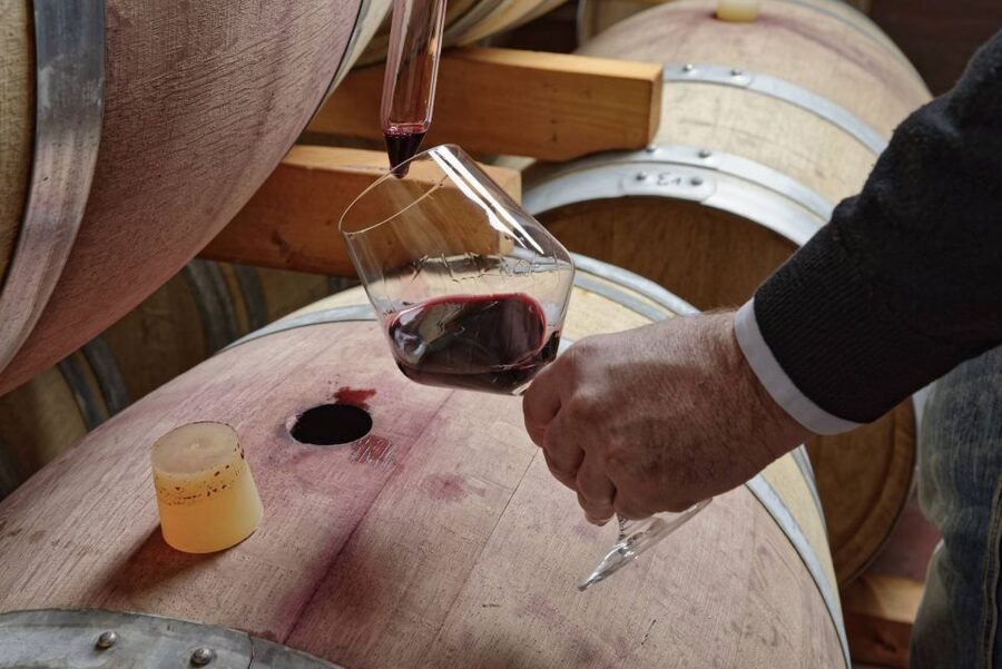 From Sorrento: Full-Day Pompeii & Wine Tasting Tour - Who should book this day out?