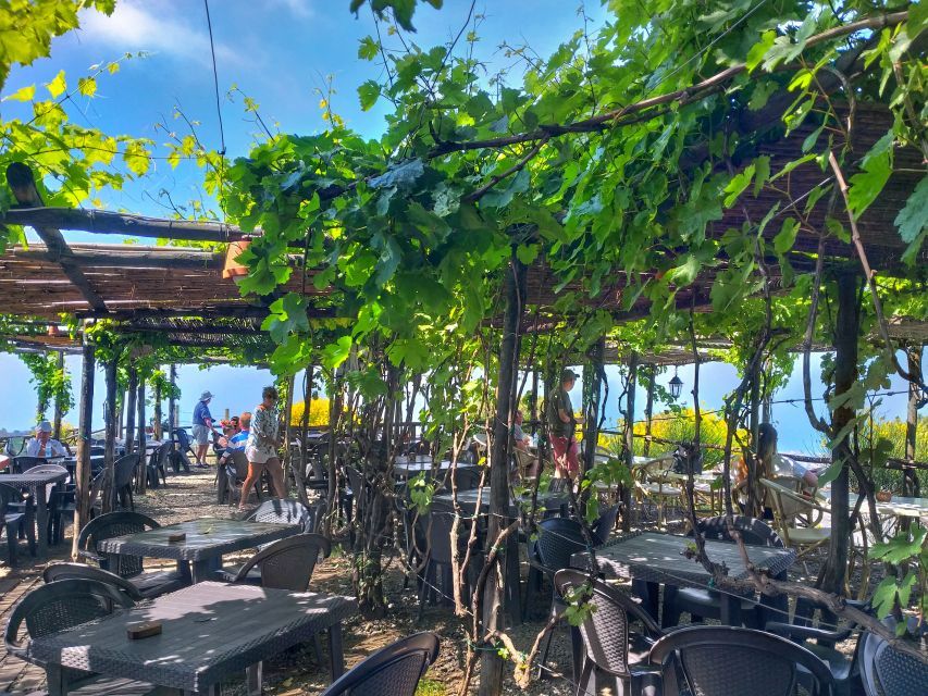 From Sorrento: Mount Vesuvius Tour with Lunch & Wine Tasting - The Guides Make a Noticeable Difference