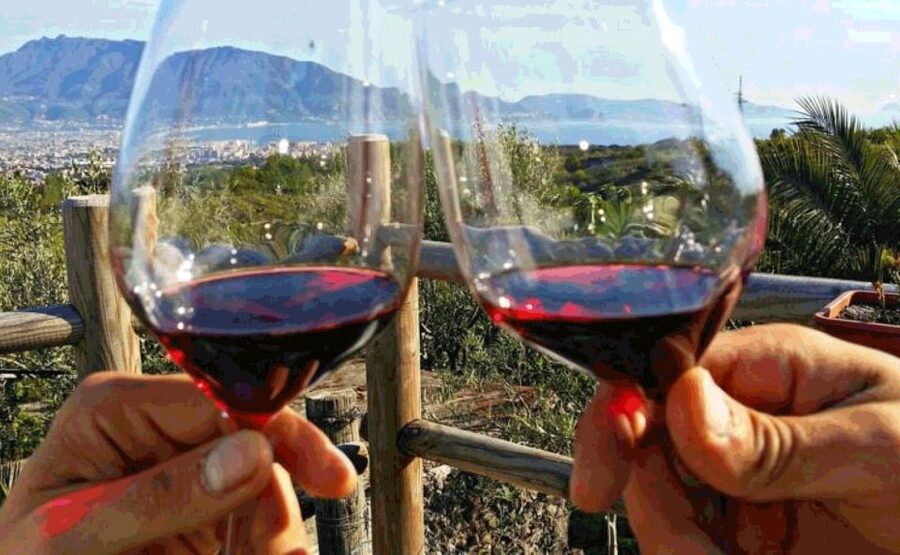 From Sorrento: Pompeii & Mt. Vesuvius Tour with Lunch & Wine - Reaching the rim of Mt. Vesuvius