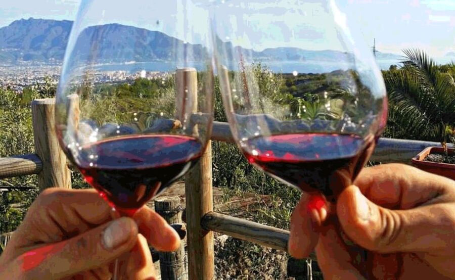 From Sorrento: Pompeii & Mt. Vesuvius Tour with Lunch & Wine - Guides, group pace, and the language setup