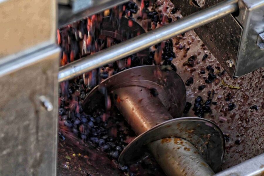 From Sorrento: Winery Tour, Tasting & Lunch - Four wines with a Campanian lunch
