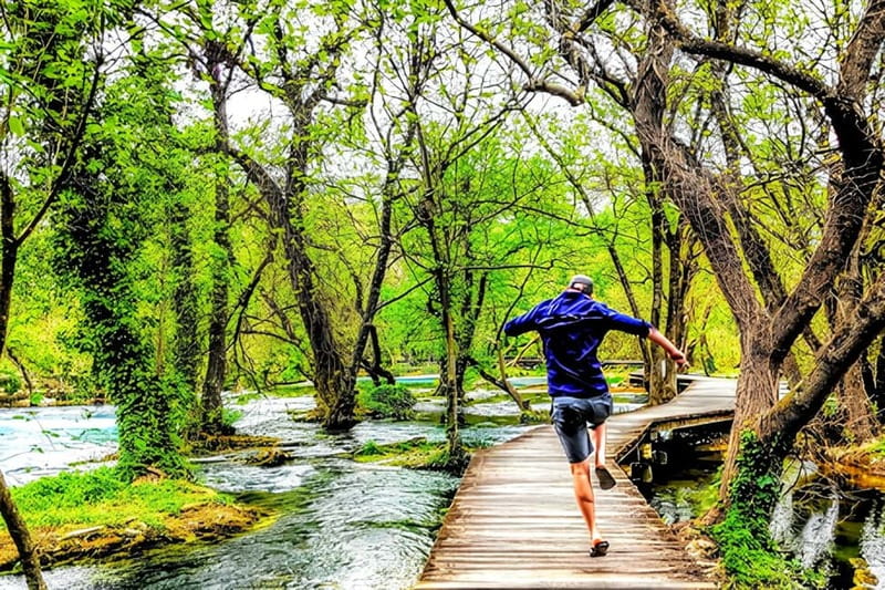 From Split: Krka Waterfalls with Wine & Cheese Tasting Tour - The day’s best features at a glance