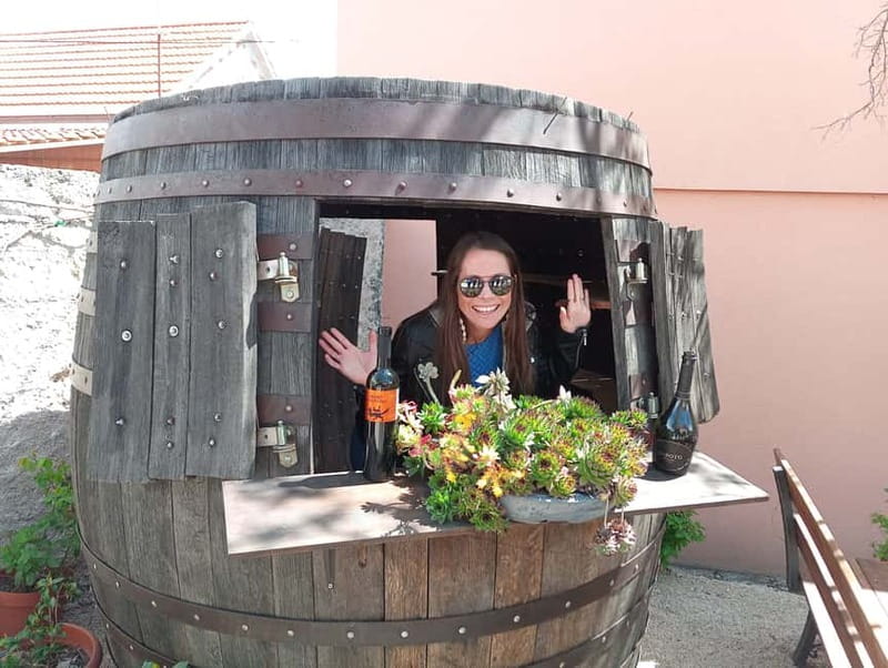 From Split: Krka Waterfalls with Wine & Cheese Tasting Tour - Skradinski buk and the short walk