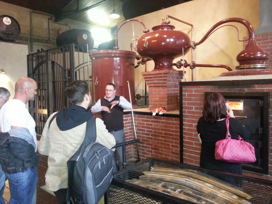 From Stellenbosch: Hop-On Hop-Off Wine Tour Southern Route - Key points before you book