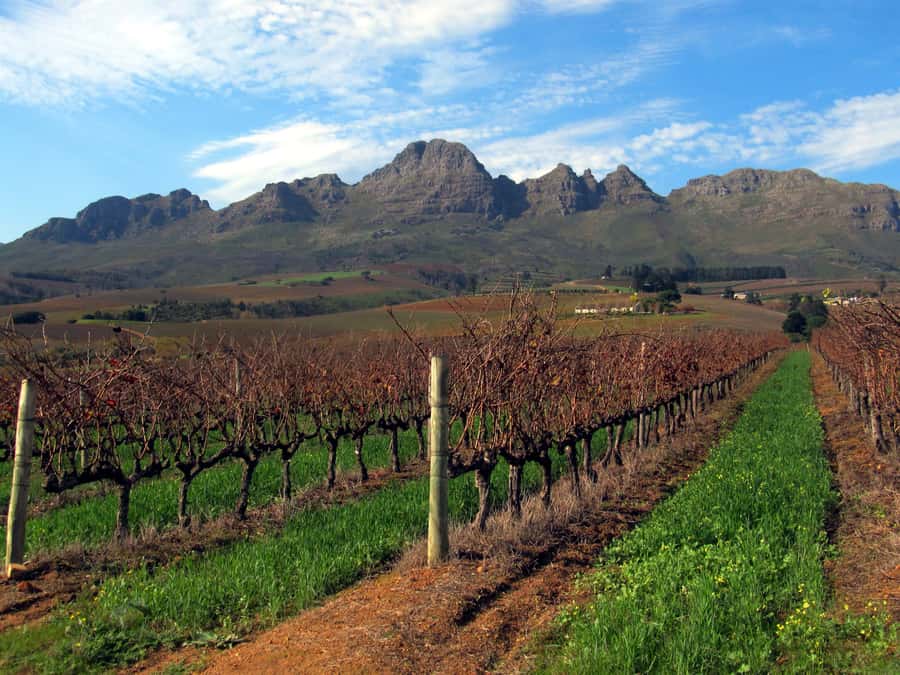 From Stellenbosch: Hop-On Hop-Off Wine Tour Southern Route - How to plan your one-day route