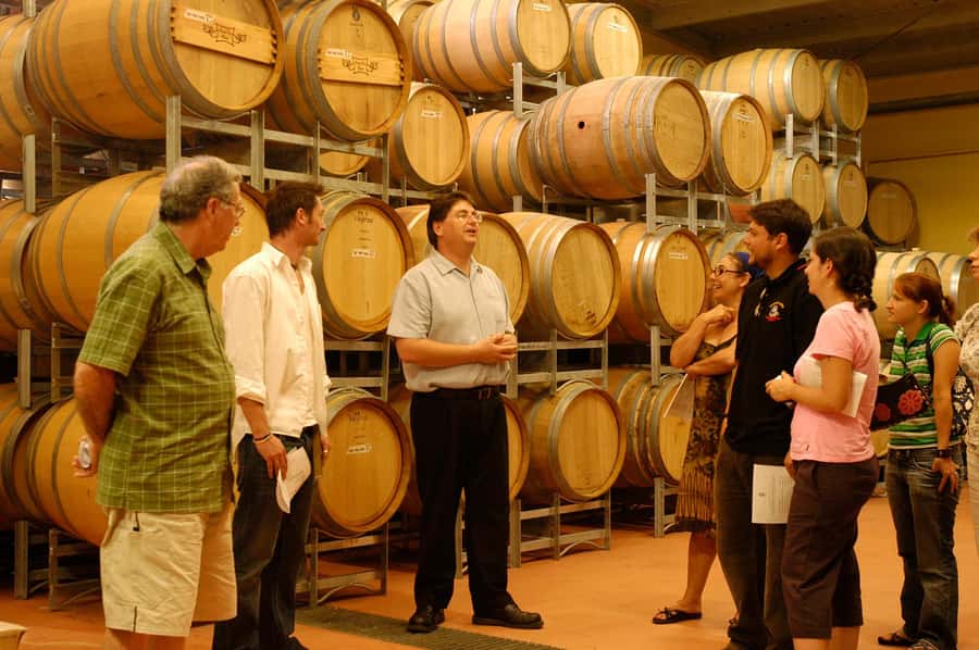 From Sydney: All Inclusive Boutique Hunter Valley Wine Tour - Who will enjoy this day most