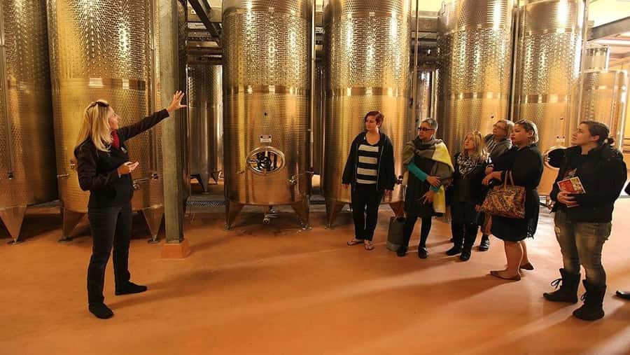 From Sydney: Award-Winning Hunter Valley Wine & Cheese Tour - Sydney Harbour Bridge, Cessnock, and the road north