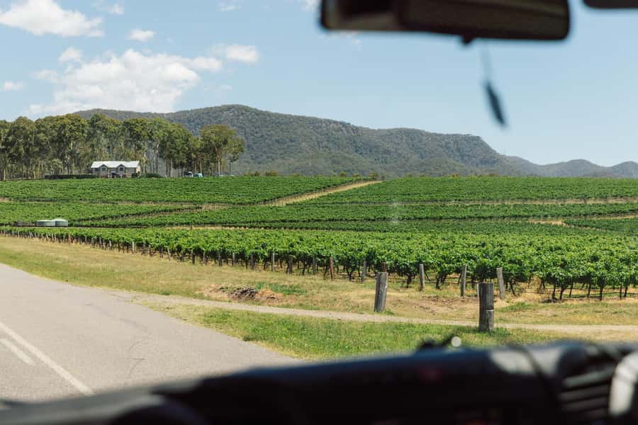 From Sydney: Full-Day Hunter Valley Wine Tour & Lunch - Key points at a glance