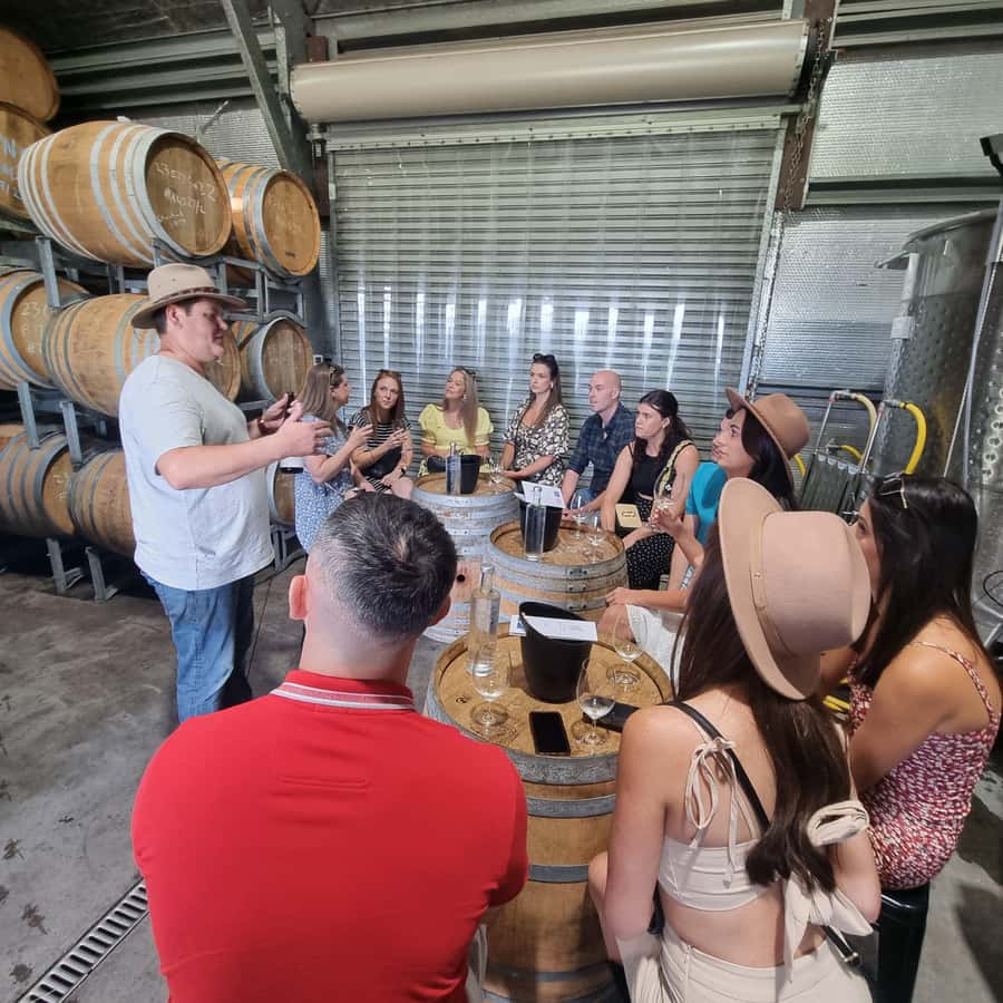 From Sydney: Hunter Valley Wine, Gin & Food Tastings Tour - Key points to know before booking