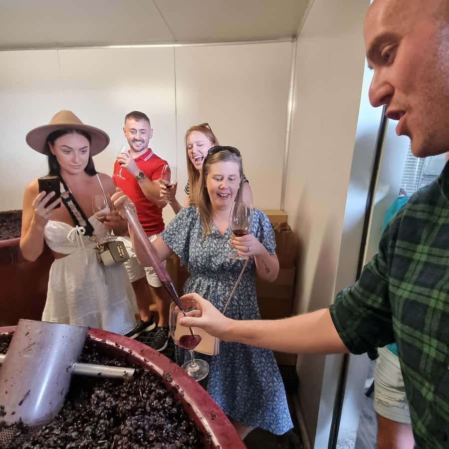 From Sydney: Hunter Valley Wine, Gin & Food Tastings Tour - Who will enjoy this Hunter Valley day trip?