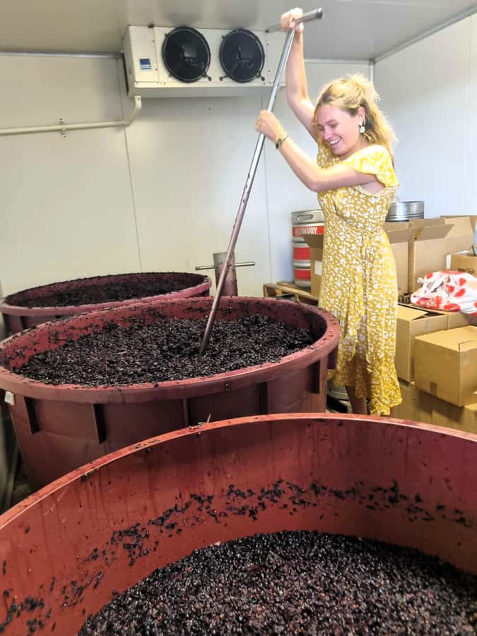 From Sydney: Hunter Valley Wine, Gin & Food Tastings Tour - Cheese, wine, and the value of a slower tasting