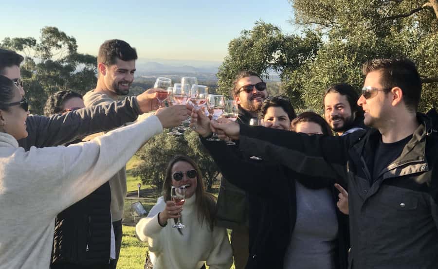 From Sydney: Hunter Valley Wine Tasting & Winery Picnic Tour - Sobels Winery: Start With the Production Story