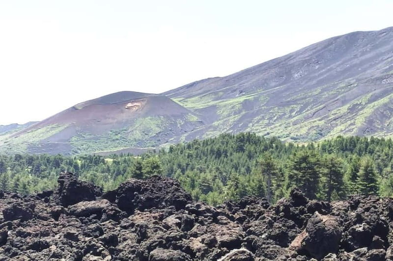 From Taormina: Etna Walking Tour and Wine Tasting in Winery - The essential details at a glance
