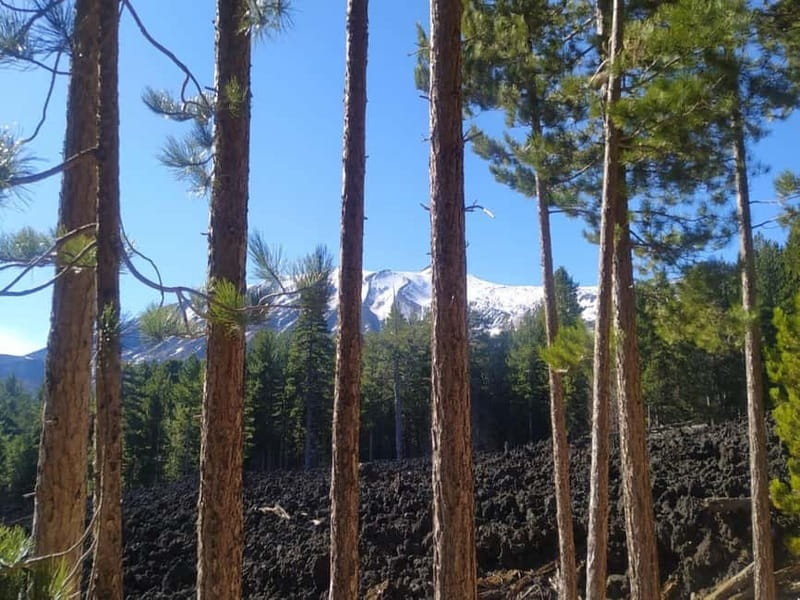 From Taormina: Etna Walking Tour and Wine Tasting in Winery - Reaching the Etna resort at 1,800 to 2,000 meters