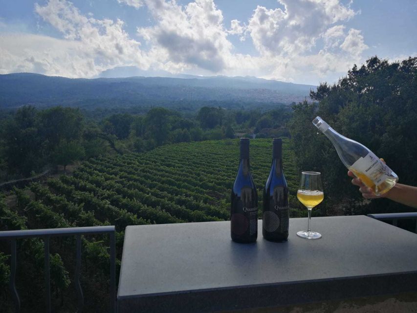From Taormina: Etna Wineries Small Group Tour - Why Etna makes such an interesting wine day