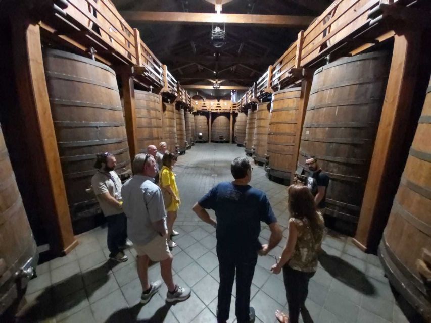 From Taormina: Etna Wineries Small Group Tour - The first winery: vineyard views and an early tasting
