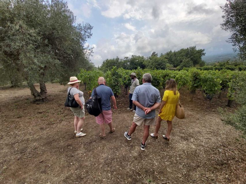 From Taormina: Etna Wineries Small Group Tour - Final verdict: a good day beyond Taormina