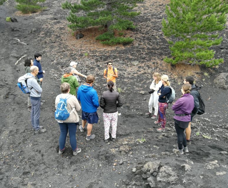 From Taormina: Full-Day Etna, Wine & Alcantara Canyons Tour - Why this Etna day trip works so well