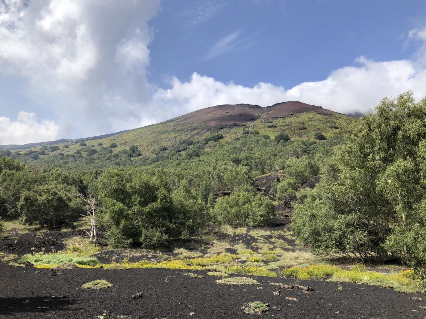 From Taormina: Full-Day Etna, Wine & Alcantara Canyons Tour - Who should book this Etna tour?
