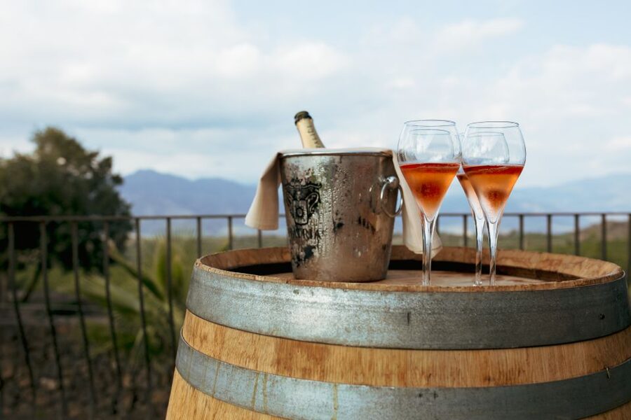 From Taormina: Mount Etna Food and Wine Tasting Tour - Who should book this Etna food tour?