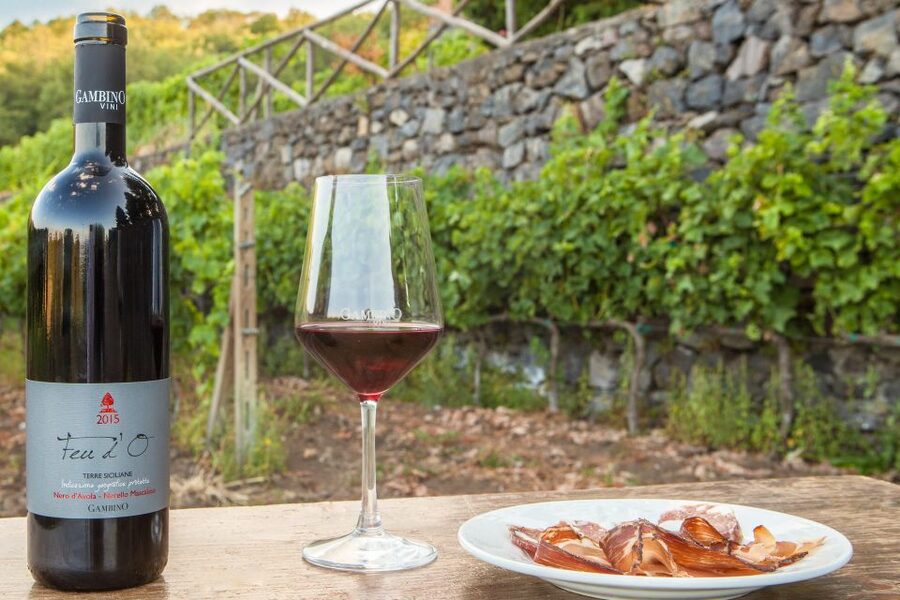 From Taormina: Private 3 Etna Wineries with Food & Wine - Key points to know before you book