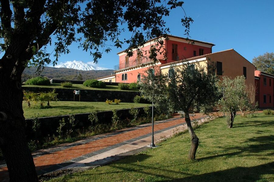 From Taormina: Private 3 Etna Wineries with Food & Wine - Who will enjoy this Etna wine day?