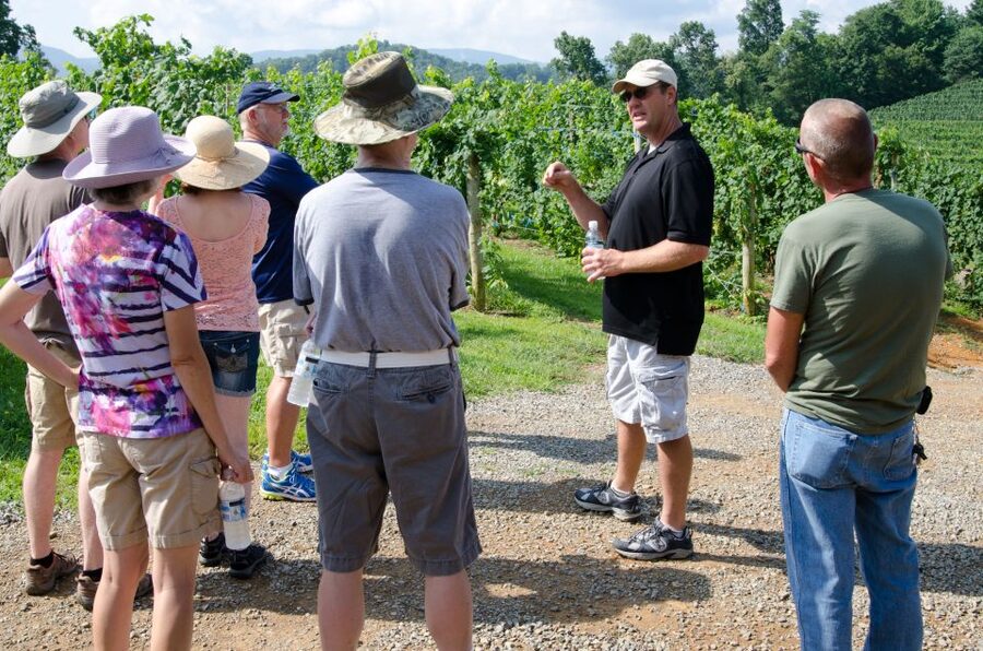 From Taormina: Private 3 Etna Wineries with Food & Wine - First stop: three Etna DOC wines and homemade bruschetta