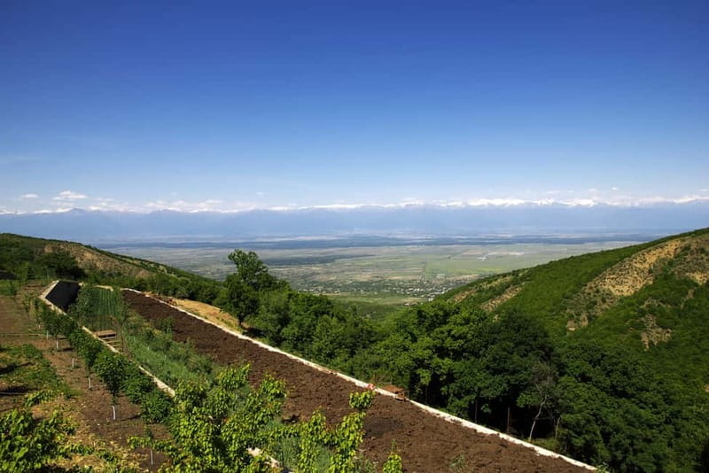 From Tbilisi: Kakheti & Sighnaghi Guided Day Trip with Wine - Why Kakheti makes a good day trip from Tbilisi