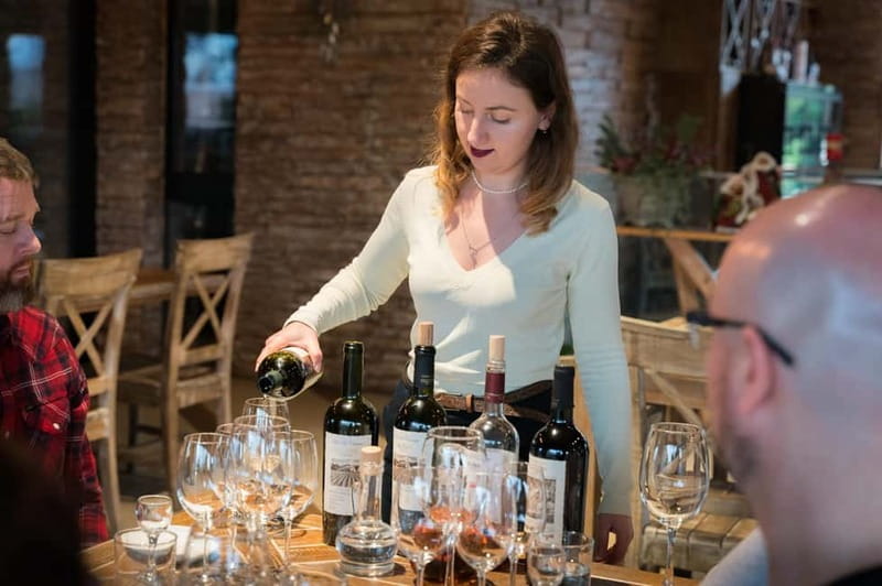 From Tbilisi: Kakheti & Sighnaghi Guided Day Trip with Wine - Transport, pace, and value for money