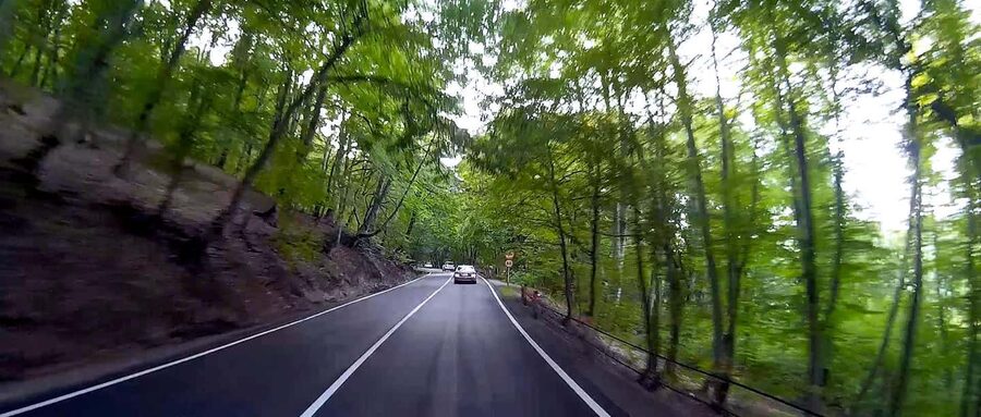 from Tbilisi to Kakheti Tour Sighnaghi, Bodbe & Wine Tasting - Wine, qvevri, and the local cellar experience