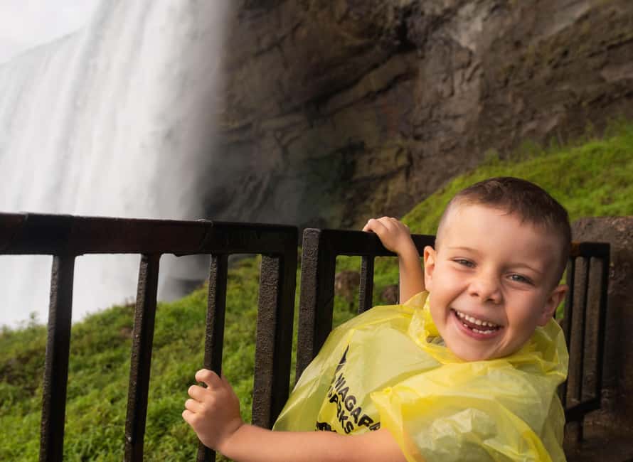 From Toronto: Niagara Falls Full-Day Bus Tour & Winery Stop - Is $64 a good price?