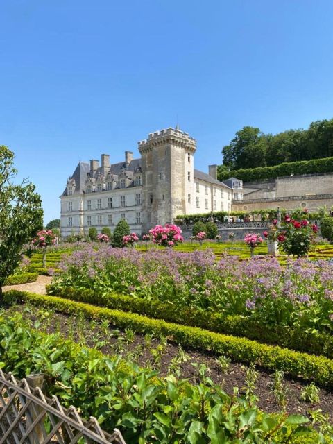 From Tours: Afternoon Loire Valley Wine Tour - Key points to know before booking