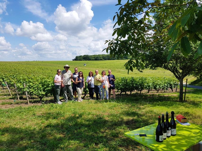 From Tours: Afternoon Loire Valley Wine Tour - Learning to taste instead of simply taking a sip