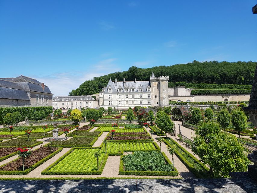 From Tours: Afternoon Loire Valley Wine Tour - What $116 buys you in practical terms