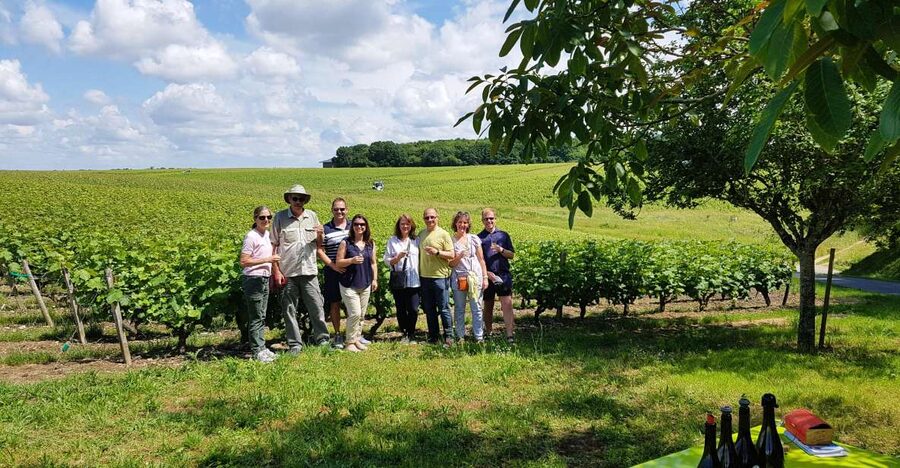 From Tours: Afternoon Loire Valley Wine Tour - My booking advice for a Loire wine afternoon