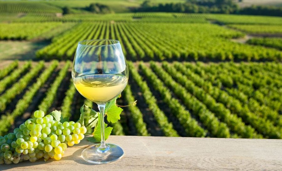 From Tours: Loire Valley Wineries Day Trip with Tastings - Key points to know before booking