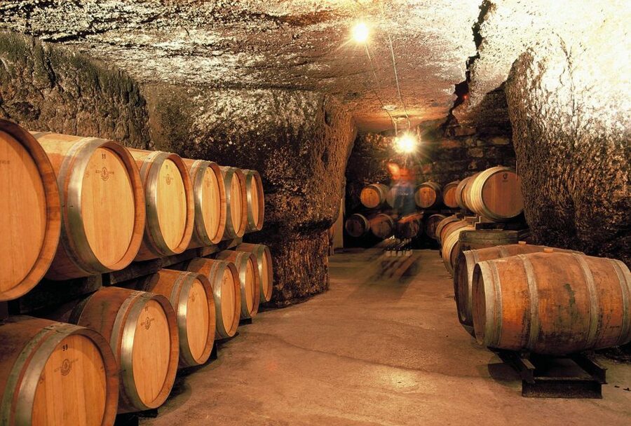 From Tours: Loire Valley Wineries Day Trip with Tastings - Why this Loire Valley wine day works