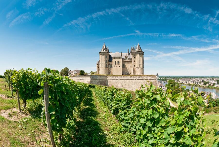 From Tours: Loire Valley Wineries Day Trip with Tastings - Chinon, two hours of history and lunch